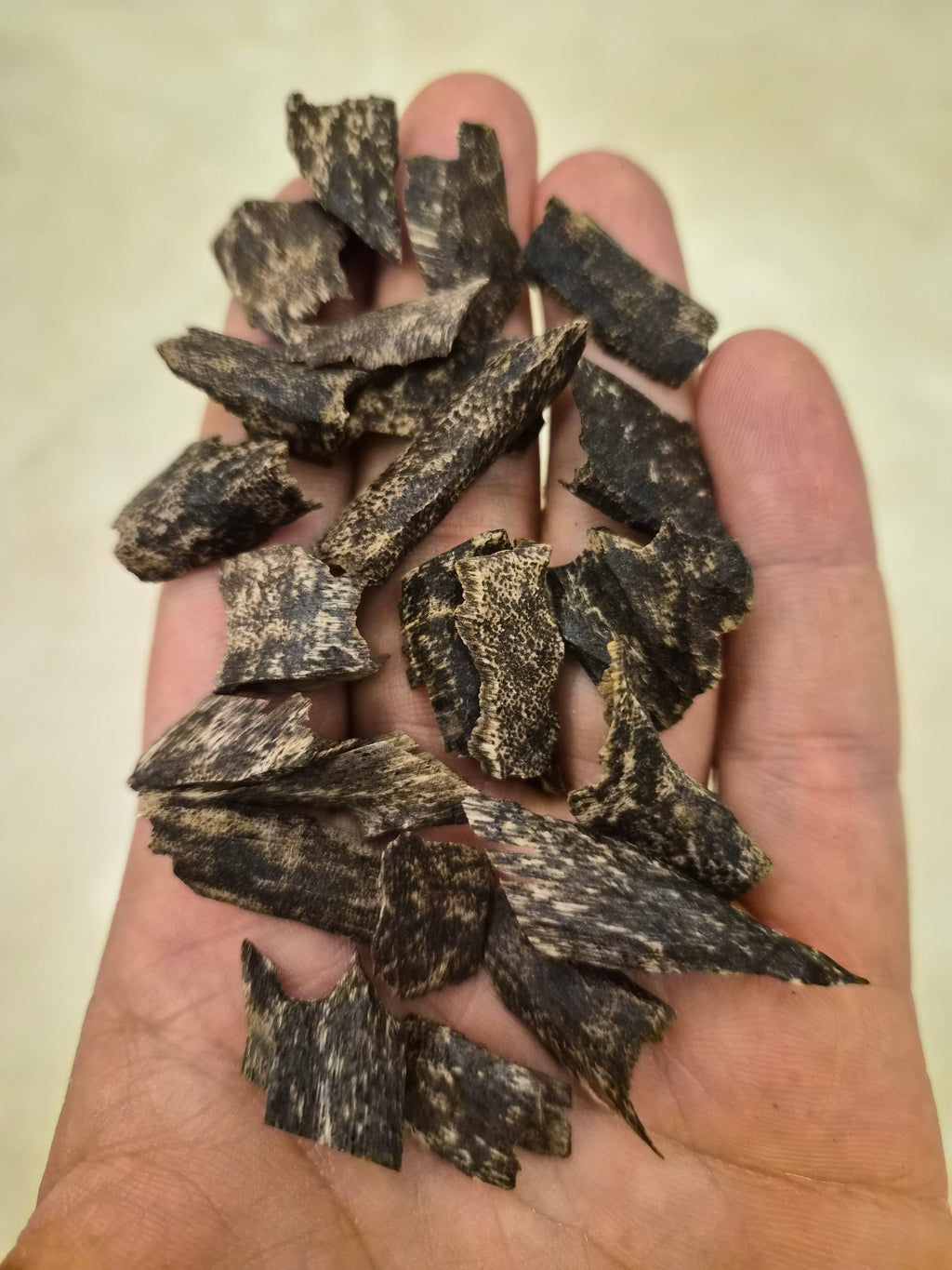 في اي بي مني تراد - VIP Mini Trad