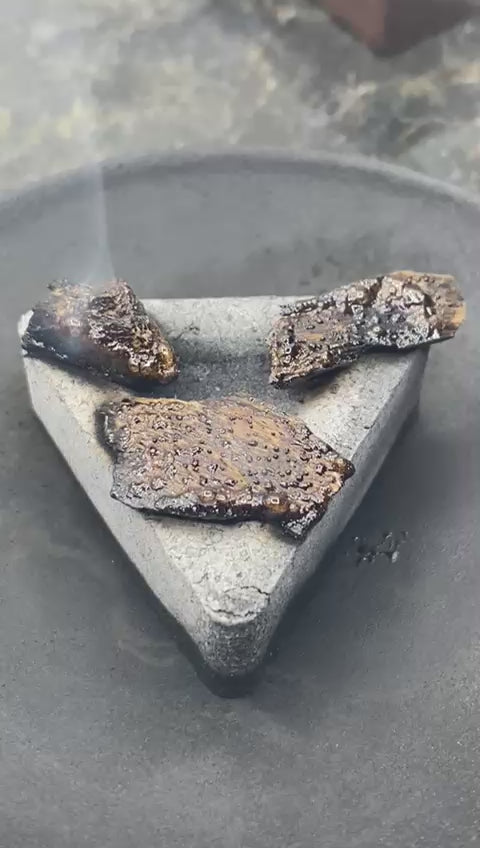 بيبي تراد الفاخر