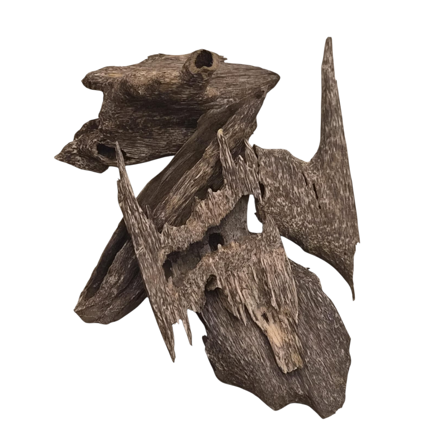 عرض ٣ تولات كمبودي- 3 Tola Cambodia