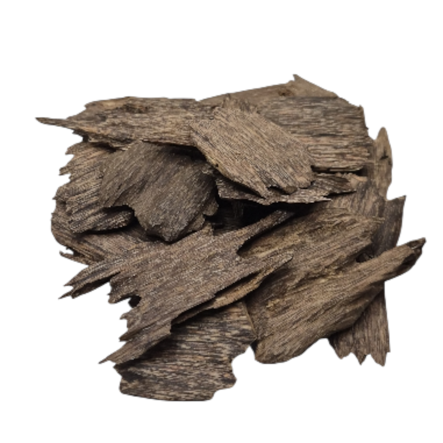 توله كلمنتان بونتيانك فراشات دبل فيس