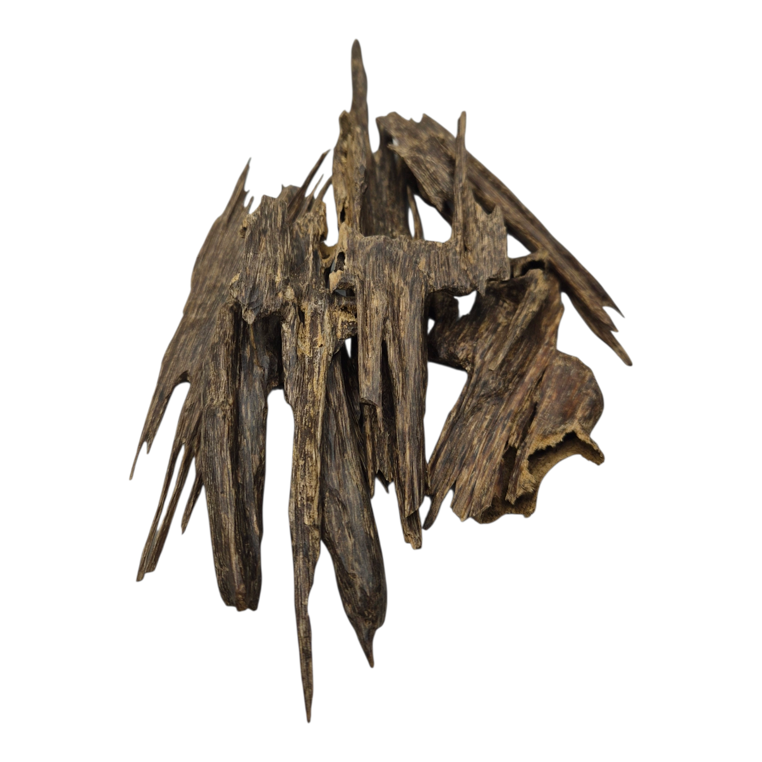 هندي جوكلت - Hindi Chocolate