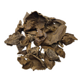 Silani Shells Agarwood